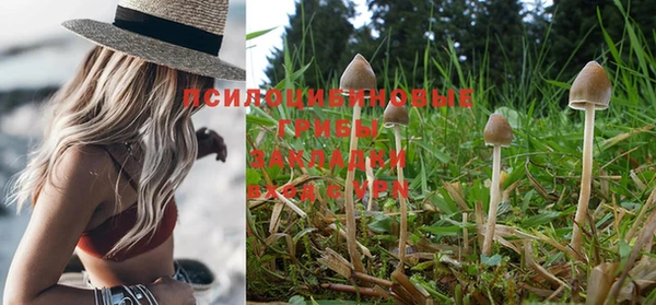 a pvp Белая Калитва