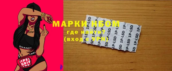 прущие грибы Мегион