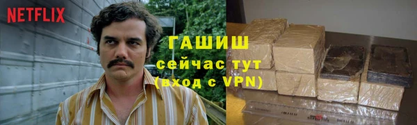 прущие грибы Мегион
