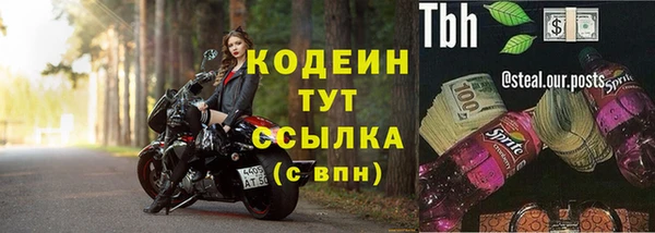 прущие грибы Мегион