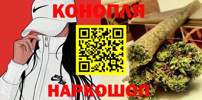 мяу мяу мука Гай