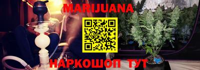 мяу мяу мука Гай