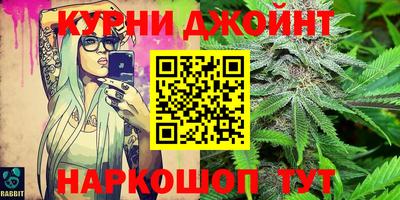 мяу мяу мука Гай