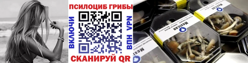 Псилоцибиновые грибы Psilocybine cubensis где купить наркоту Прохладный