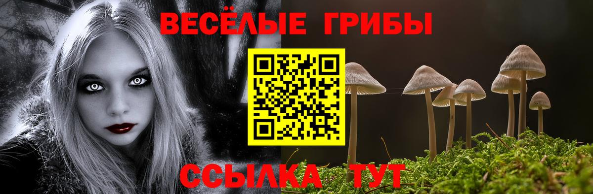 хочу   Псилоцибиновые грибы прущие грибы  Вход с VPN  Прохладный  Галлюциногенные грибы MAGIC MUSHROOMS 